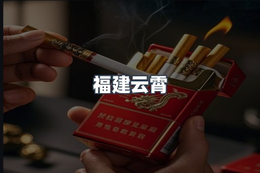 福建云霄